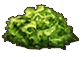 Symbol lettuce.png