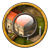 Bestand:COButton.png